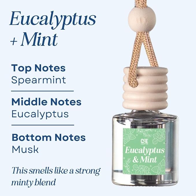 CANDECraftCo Car Air Hanging Fragrance Oil, Car Auto Freshener for Essential Oils, Scents Fragrance Aromatherapy Automobile Diffuser, Long Lasting (Eucalyptus & Mint)