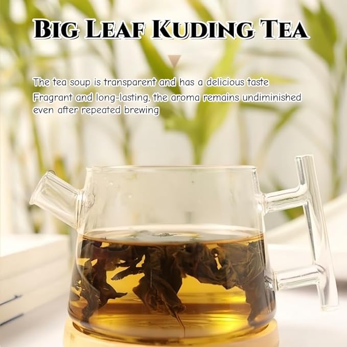 JINQI 2bottles Bitter Tea Kuding- 苦丁茶 大叶苦丁茶4.93oz/140g(2.46oz/70g*2), Chinese Herbal Green Tea, Clearing Heat, Holiday Gifts, Tea Gifts