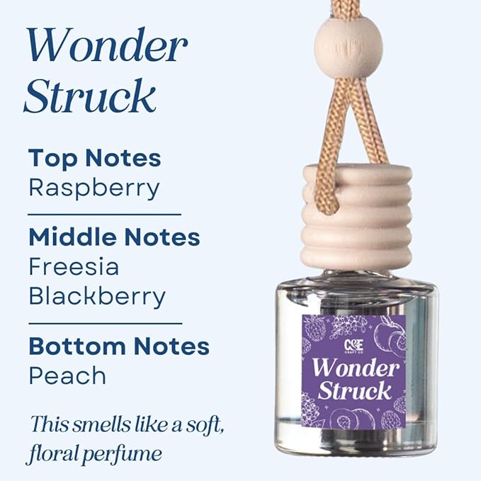 CANDECraftCo Car Air Hanging Fragrance Oil, Car Auto Freshener for Essential Oils, Scents Fragrance Aromatherapy Automobile Diffuser, Long Lasting (Wonder Struck)