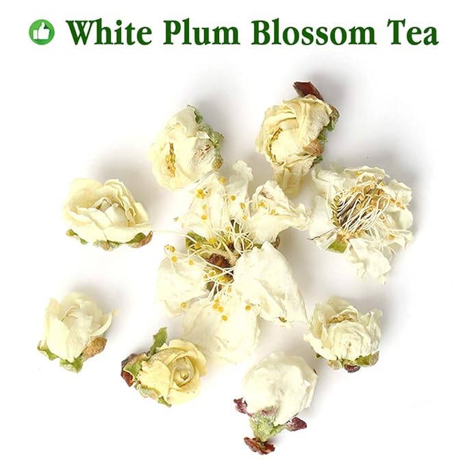 Plant Gift White Plum Blossom Tea Dried Flower Tea, Plum Green Tea Loose Health Tea Herbal Green Plum Bossom Tea 35g