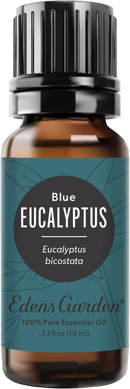Edens Garden Eucalyptus- Blue Essential Oil- 100% Pure Premium Grade, Undiluted, Natural, Therapeutic, Aromatherapy, The Best for Diffuser, Skin, Candle, Humidifiers 10 ml (.33 fl oz)