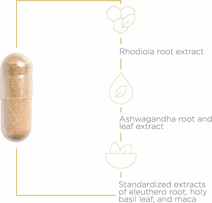 Integrative Therapeutics HPA Adapt - Adaptogenic Supplement for Stress Support* - Includes Ashwagandha, Rhodiola & Other Adaptogenic Herbs* - Vegan, Dairy-Free & Gluten-Free - 120 Capsules