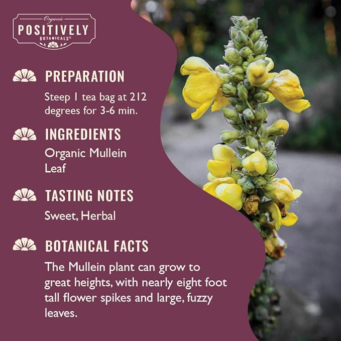 Organic Positively Botanicals Company, Mullein Herbal Tea Bags, 100 Count, Eco-Friendly Tea Bags, Non-GMO