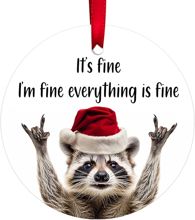 34HD Gifts for Christmas, Raccoon Christmas Ornament Ceramic 2-Side Printed, Gifts for Raccoon Lovers, Women, Men, Friends, Christmas Decorations