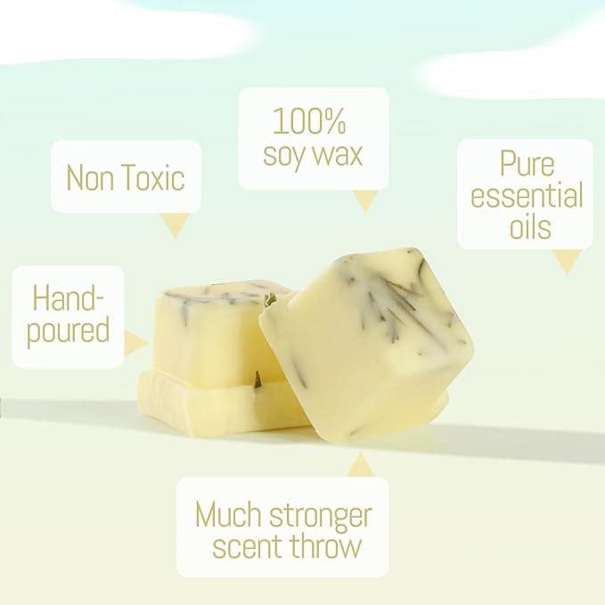 DEVI Scented Wax Melts, Natural Soy Wax Cubes Strong Scent -Citronella - Long Lasting Scented Melts for Warmer,4 Pack(24-Cubes)