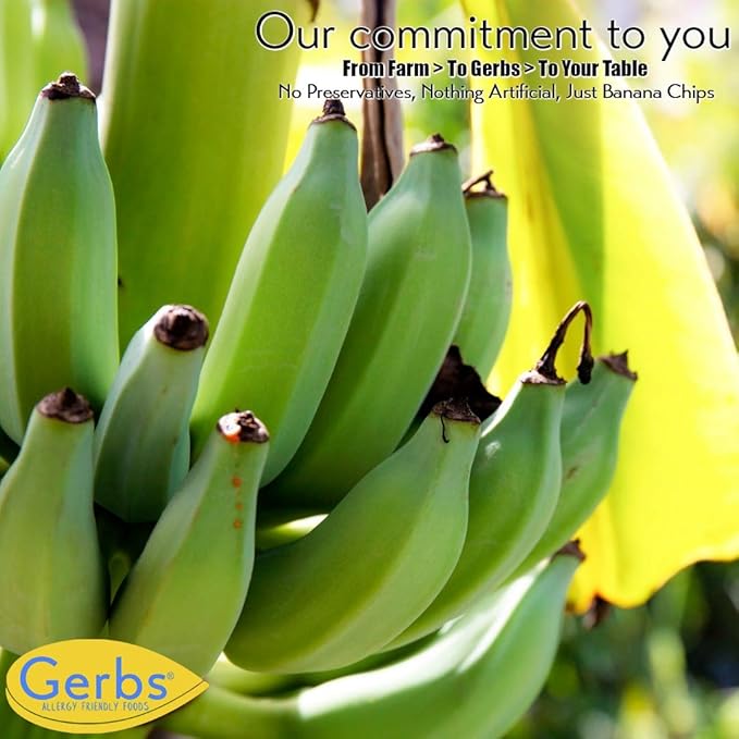 Gerbs Banana Chips Sweetened, 2 LBS – Unsulfured & Preservative Free - Top 14 Allergy Friendly & Non GMO - Product of Philippines