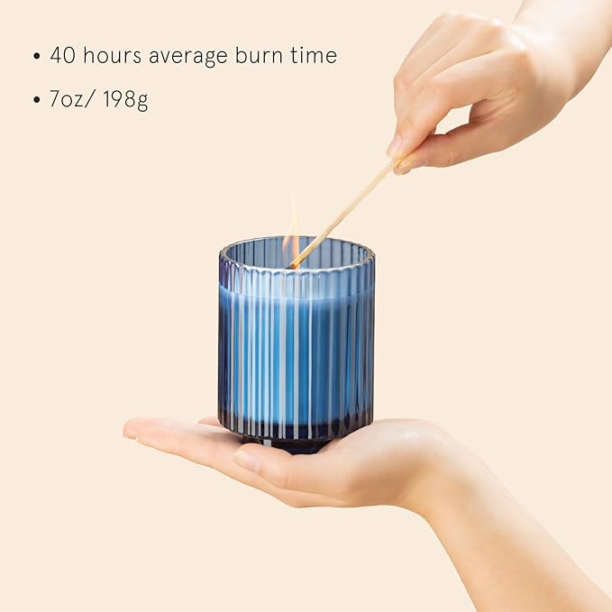 LA JOLIE MUSE Eucalyptus & Alpine Sage Candle, Scented Candles for Home, Candle Gifts for Women & Men, Glass Jar Candle, 40 Hours Burning Time, 7oz