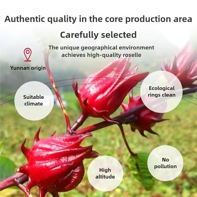 Hibiscus Tea Bags, 50 Teabags,105g,3.8Oz- Premium Hibiscus Flower Tea Bag - Cultivated From Yunnan - Non-GMO - Caffeine-free