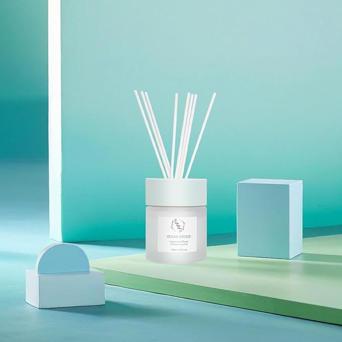 Reed Diffuser Set, Pretty Valley Home Diffuser 100Ml / 3.38fl OZ Gift Box - Includes Reed Diffuser Sticks, Fragrance Oil, and Glass Bottle for Bathroom Office Living Room Decor (Ocean Breeze)
