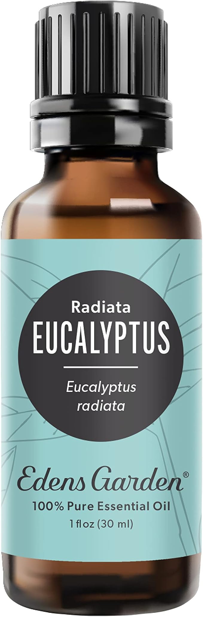Edens Garden Eucalyptus- Radiata Essential Oil, 100% Pure Therapeutic Grade (Undiluted Natural/Homeopathic Aromatherapy Scented Essential Oil Singles) 30 ml