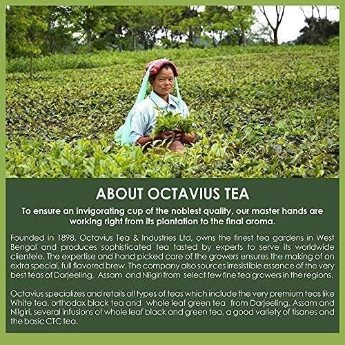 Octavius Green Tea Sampler Pack – 50 Premium Tea Bags, 3 Flavors: Cinnamon Anise, Lemon, Pure Green | Detox, Weight Loss, Antioxidants | Herbal Green Tea Variety Pack