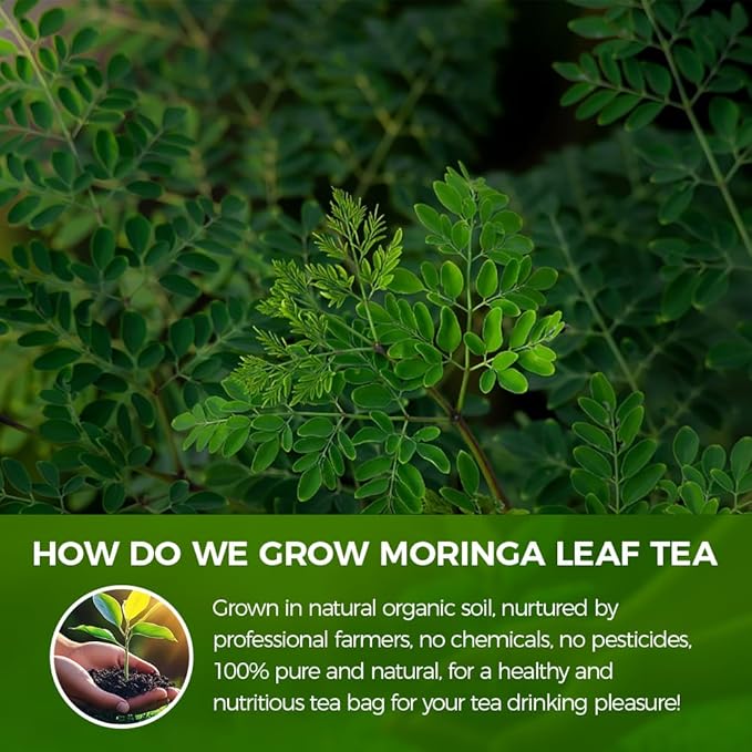 WOTIHA-Natural Moringa Leaf Tea 120g. 60 Herbal Tea Bags.100% Natural & Pure from Moringa Leaves，Non-GMO • Additive-Free • Caffeine-Free • Sugar-Free • Vegan