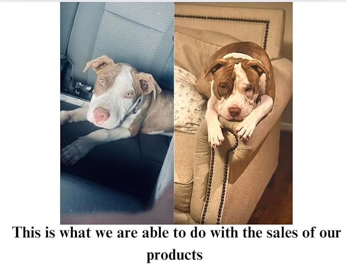 Date Night Wax Melts 4 Pack – Armani Cologne Scented Wax Melts, Long-Lasting Soy Wax for Home and Office, Luxurious and Romantic Masculine Fragrance