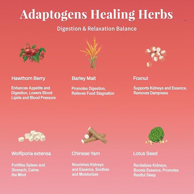 Hawthorn Apple DigestionTea Bags for Balance Stress Relief,Detox Cleanse Tea, Leafberry Herbal Tea Bag Sampler Barley malt Peeled lotus seeds Dried apples, Red dates Healthy Tea Gift Box 10 Bags