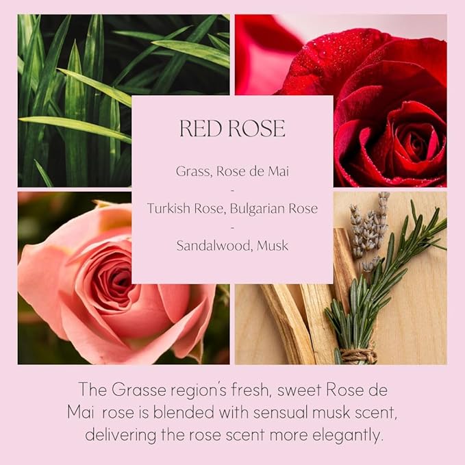 396 st. Reed Diffuser, Red Rose, 200ml(6.7oz) / Reed Diffuser Sets, Home Fragrance, Scented Oils, Home & Bathroom Décor