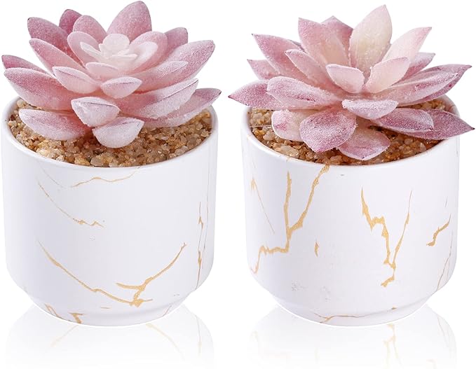 Artificial Plants and Succulents in 2 White Ceramic Pots,Small Fake Plants for Office and Desk Decor,Bathroom, Bedroom,Shelves for Women