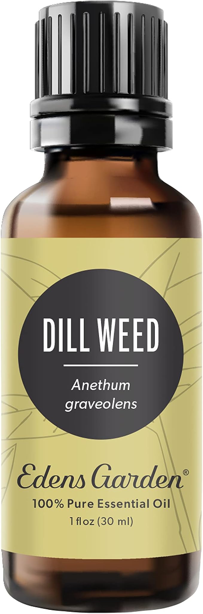 Edens Garden Dill Weed Essential Oil- 100% Pure Premium Grade, Undiluted, Natural, Therapeutic, Aromatherapy, The Best for Diffuser, Skin, Humidifiers, Kid Safe 30 ml (1 fl oz)