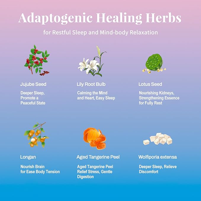 Leafberry Herbal Tea Bags Sampler Healthy 10 Bags Tea Gift sets Traditional Chinese Herbal Tea (Sleep Bedtime Tea)