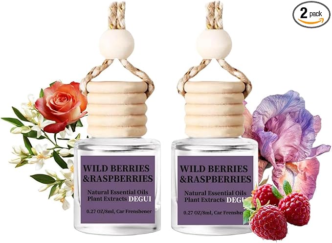 2Pack Wild Berries and Raspberries Scented Automotive Air Freshener Set, Car Accessories Decoration Hanging Scented Car Diffuser for Men Women