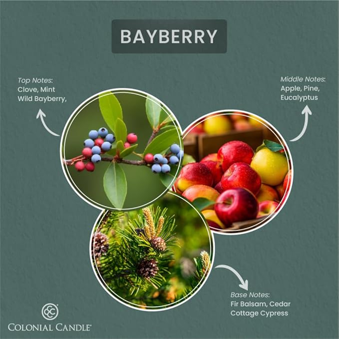 Colonial Candle Bayberry Scented Jar Candle, 2 Wick, 3.5 oz, Mottled Wax Candle