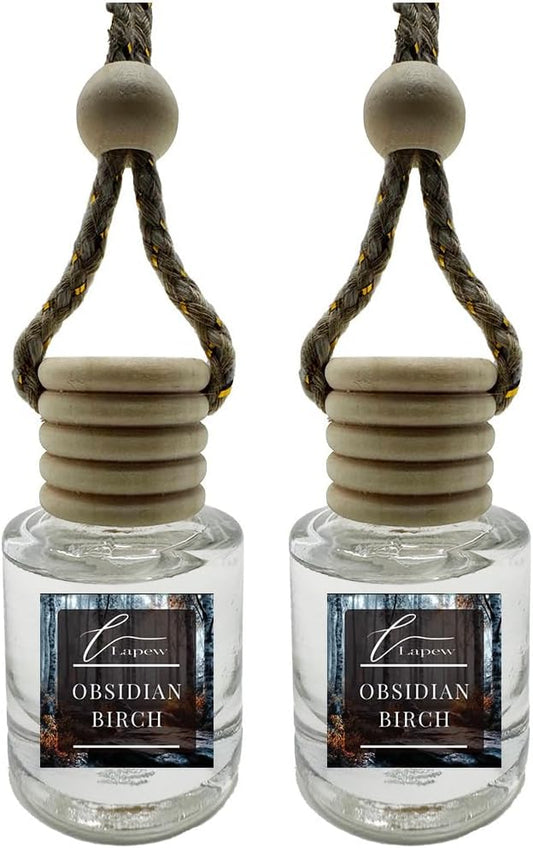 Car Air Freshener Diffuser – 2 Pack Hanging Air Freshener Diffuser (.34 Oz, Obsidian Birch)