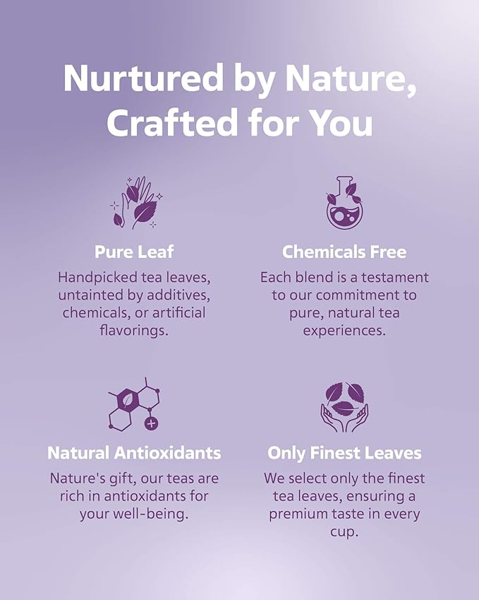 LOVARE Wild Berry Loose Leaf Tea 80 g - Made in Ukraine - Black Tea, Cherry, Roses, Hawthorn Berries, Elderberry, Black Currant Berries, Strawberry - Gift Box with 15 Paper Filters