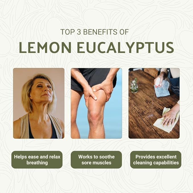 Lemon Eucalyptus Oil by Eucaliptus from Brazil - Pure Lemon Eucalyptus - 100% Pure Steam Distilled Natural Aceite de Eucalipto Limón - Aromatherapy - Premium Therapeutic Grade (2lbs)