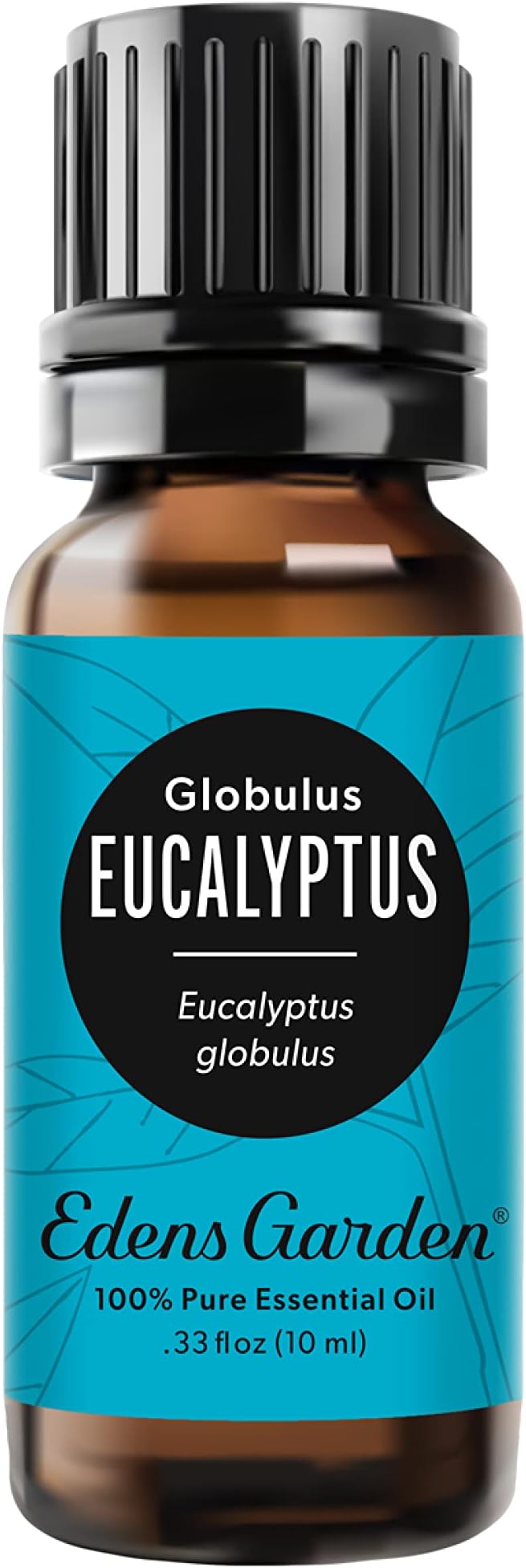 Edens Garden Eucalyptus - Globulus Essential Oil- 100% Pure Premium Grade, Undiluted, Natural, Therapeutic, Aromatherapy, The Best for Diffuser, Candle, Hair, Humidifiers 10 ml (.33 fl oz)