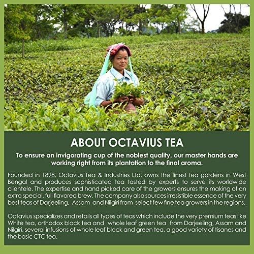 Octavius Assorted 5 Loose Leaf Tea Samplers | Indian Masala Chai |Cardamom Chai |Cinnamon Chai|Kashmiri Kahwa|Tulsi Green Tea|Perfect For Chai Lovers & Green Tea Lovers|25 cups (5 packs of 10gm each)