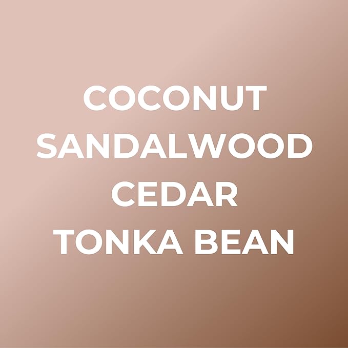 Bright Spot Surf Shack Car Fragrance - Premium Car Hanging Air Freshener, 120 Days Long-Lasting Fragrance for Auto and Home | Coconut & Woody | Coconut, Santal, Woods | Non-toxic, Cruelty-Free