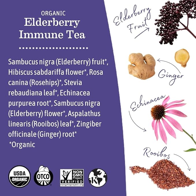 Earth Mama Organic Elderberry Immune Support Tea with Echinacea | Safe for Pregnancy, Breastfeeding, Postpartum, Kids and Family Essentials, Decaf Tea with Ginger & Rooibos (16-Count, 6-PK)