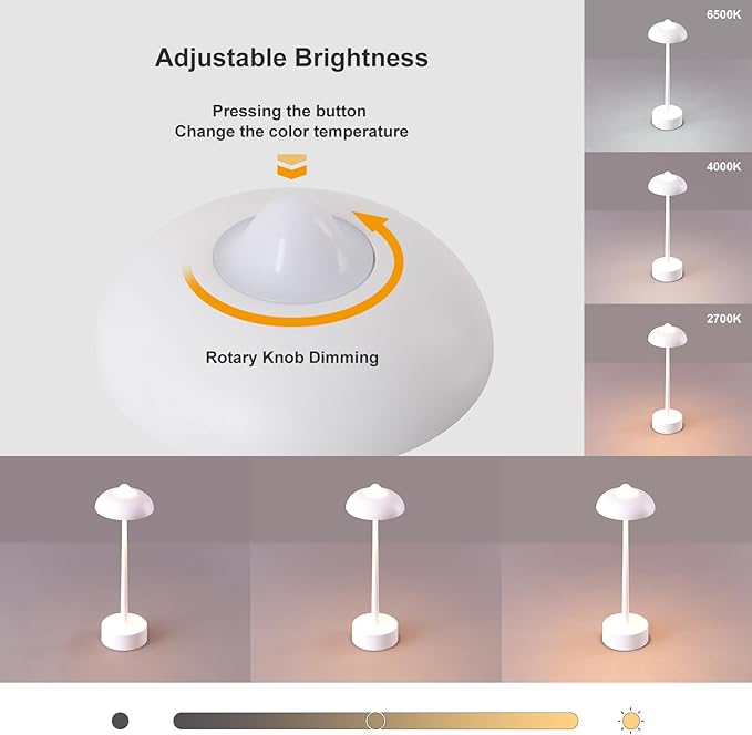 DAWALIGHT Cordless LED Table lamp,5200mAh Outdoor Battery Operated Table Lamp Waterproof,3 Level Stepless Dimming 2700K/4000K/6500K Rechargeable Battery Desk Lamp,Aluminium,White