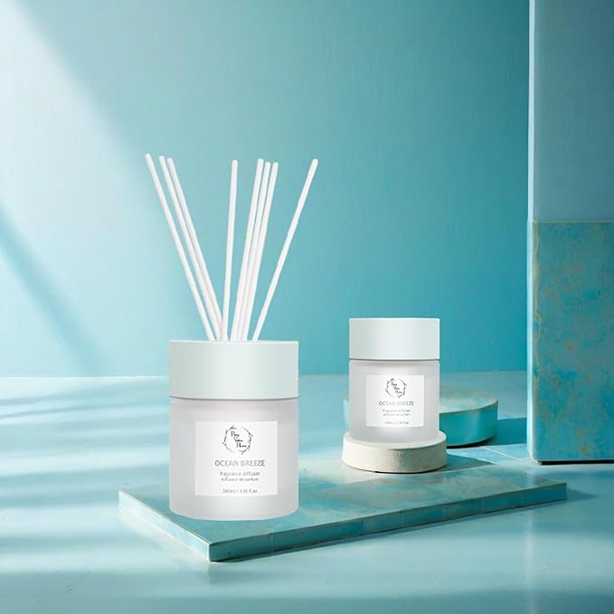 Reed Diffuser Set, Pretty Valley Home Diffuser 100Ml / 3.38fl OZ Gift Box - Includes Reed Diffuser Sticks, Fragrance Oil, and Glass Bottle for Bathroom Office Living Room Decor (Ocean Breeze)