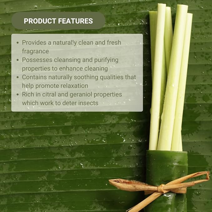 Lemongrass Essential Oil - Natural Aceite de Hierba Limón from Norex Flavours India - Lemongrass Essential Oils for Hair, Aromatherapy and Massage (2lbs)