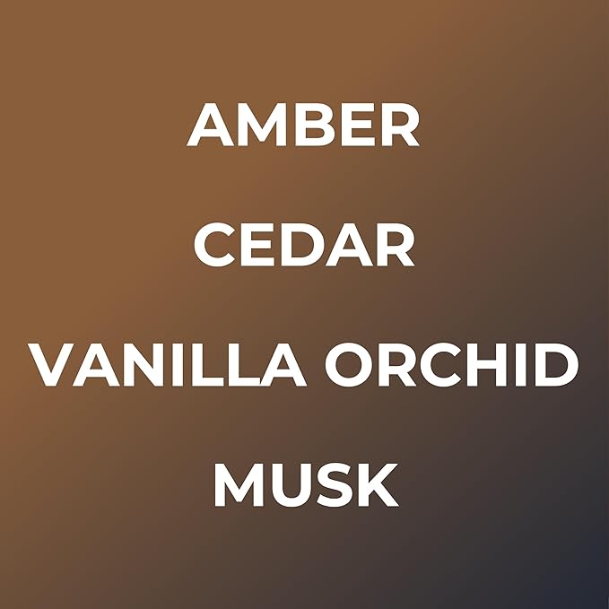 Bright Spot Night at the Disco Car Fragrance - Premium Car Hanging Air Freshener, Long-Lasting Fragrance for Auto and Home | Sultry & Woody | Amber, Cedar, Mahogany, Musk | Vegan & Cruelty Free