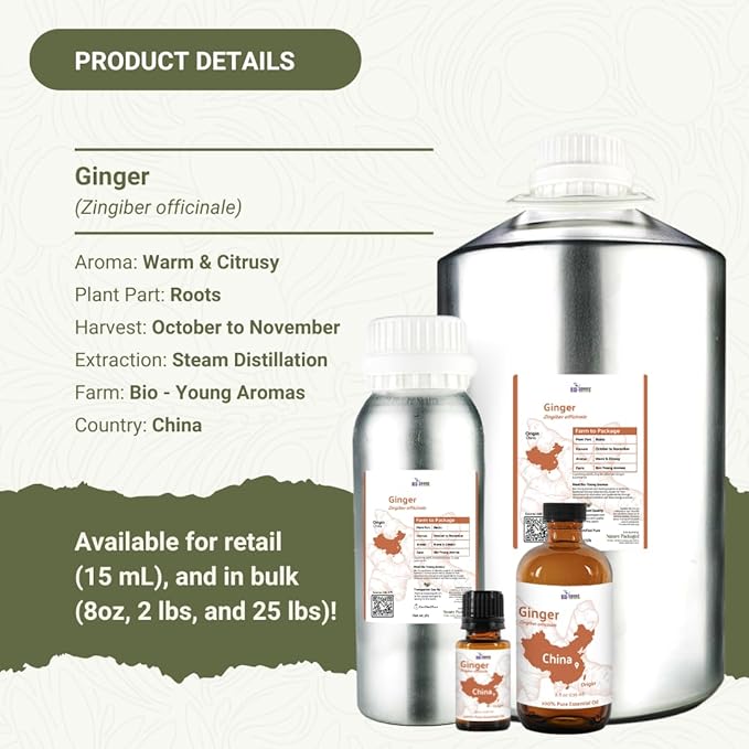 Ginger Essential Oil - Direct from Bio-Young Aromas - Pure Ginger Oil for Skin - Aceite de Jengibre - Aromatherapy 100% Therapeutic Premium Grade (2lbs)
