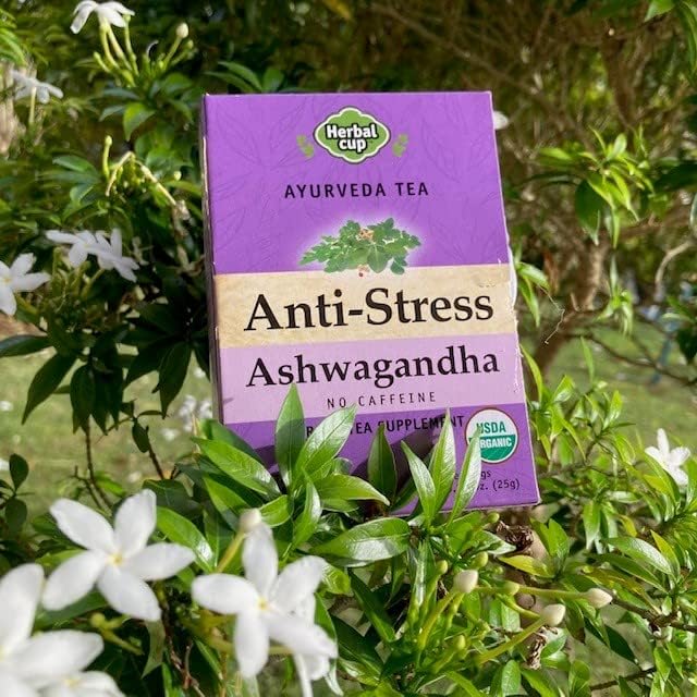 Herbal Cup Ayurveda Ashwagandha Tea, Organic Anti-Stress, No Caffeine Herbal Supplement (16 Count, Pack of 6)