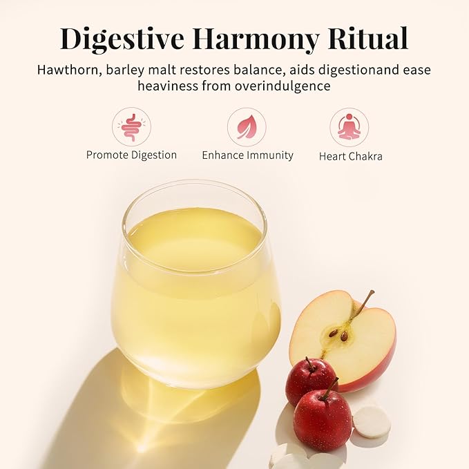 Hawthorn Apple DigestionTea Bags for Balance Stress Relief,Detox Cleanse Tea, Leafberry Herbal Tea Bag Sampler Barley malt Peeled lotus seeds Dried apples, Red dates Healthy Tea Gift Box 10 Bags