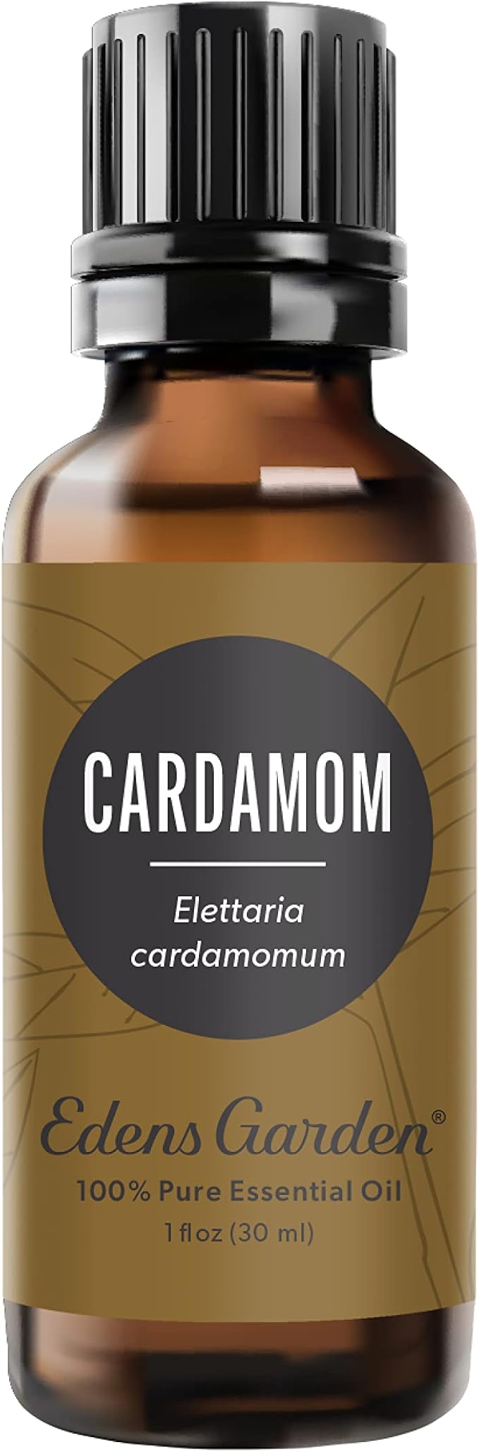 Edens Garden Cardamom Essential Oil- 100% Pure Premium Grade, Undiluted, Natural, Therapeutic, Aromatherapy, The Best for Diffuser, Skin, Laundry, Humidifiers 30 ml (1 fl oz)