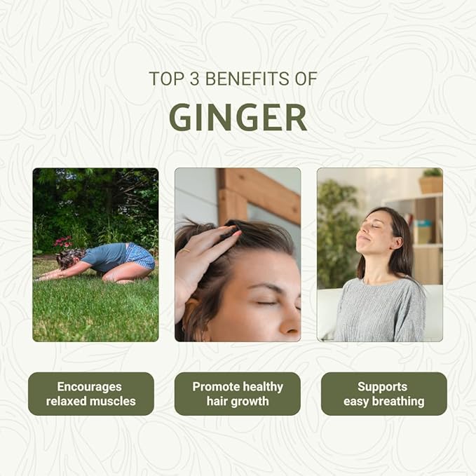 Ginger Essential Oil - Direct from Bio-Young Aromas - Pure Ginger Oil for Skin - Aceite de Jengibre - Aromatherapy 100% Therapeutic Premium Grade (8oz)