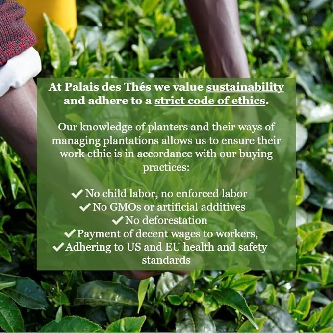 Palais des Thés - Organic Sencha Ariake - Japanese Green Tea - Premium Tea Bags, Serves 20 Cups