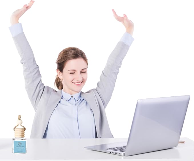 2Pack Sage and Sea Salt Scented Automotive Air Freshener Set, Car Accessories Decoration Hanging Scented Car Diffuser for Men Women Best Gifts