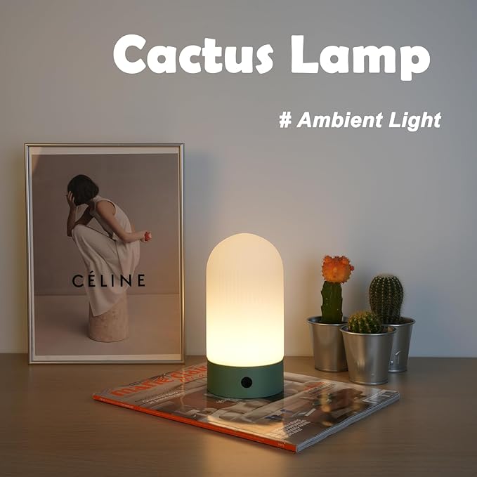 Battery Operated Shower Lamp Waterproof, Small Portable Cordless Table Lamp Rechargeable, Touch Dimmable Mood Light for Home/Patio/Dining/Outdoor (Black)