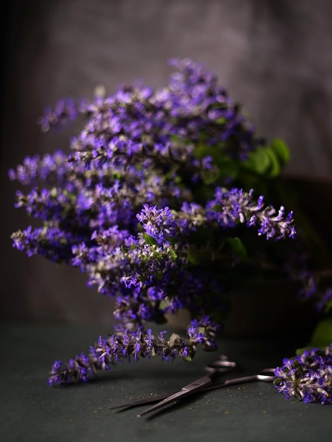 Denise's Fine Tea, USDA Organic, Versailles Lavender Earl Grey, Black Tea, Loose Leaf (100g)