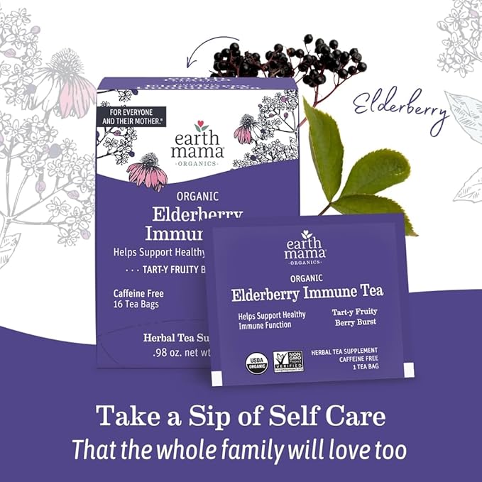 Earth Mama Organic Elderberry Immune Support Tea with Echinacea | Safe for Pregnancy, Breastfeeding, Postpartum, Kids and Family Essentials, Decaf Tea with Ginger & Rooibos (16-Count, 6-PK)