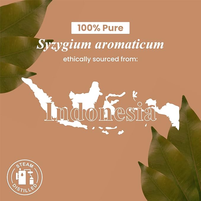 Handcraft Blends Clove Essential Oil – Huge 4 Fl Oz – 100% Pure and Natural – Premium Grade Essential Oil for Diffuser and Aromatherapy, Skin, Massage, Candle and Soap Making Fragrance