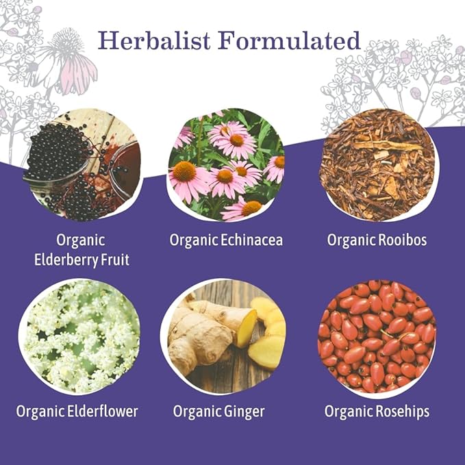 Earth Mama Organic Elderberry Immune Support Tea with Echinacea | Safe for Pregnancy, Breastfeeding, Postpartum, Kids and Family Essentials, Decaf Tea with Ginger & Rooibos (16-Count, 3-PK)