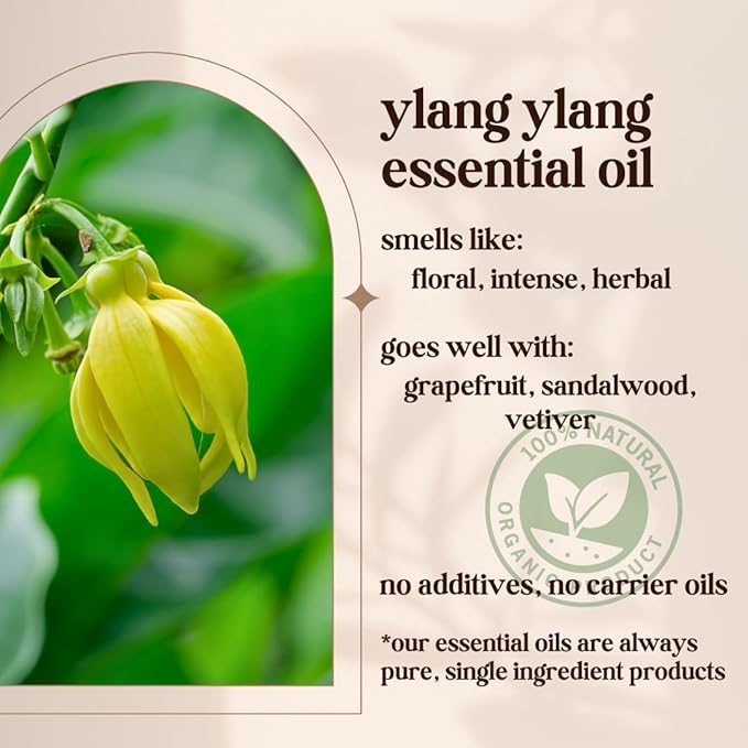Avivni Ylang Ylang Essential Oil - 100% Pure & Natural, Organic, Undiluted for Aromatherapy, Hair, Diffuser (0.33oz - 10ml)
