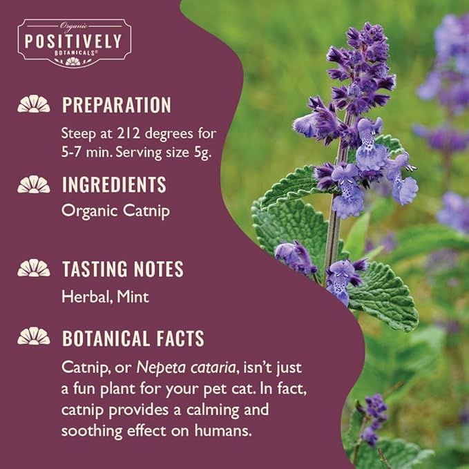 Organic Positively Botanicals Company, Catnip Herbal Tea Loose Leaf, Botanical, 4 Ounce