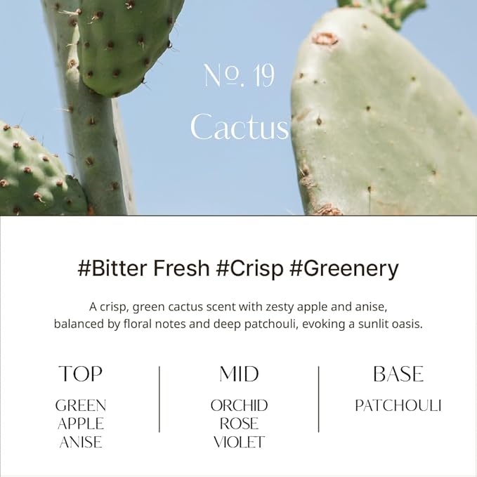 hetras Objet Diffuser Gift Set 6.7 fl.oz. 2 Pack | Cactus - Fresh Greenery Scent | Long-Lasting Scented Room Fresheners with 8 Reed Sticks for Home Fragrance Bedroom Bathroom Shelf Décor